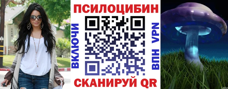 ОМГ ОМГ Подольск Псилоцибиновые грибы Cubensis наркотики